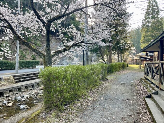 ひよしフォレストリゾート山の家