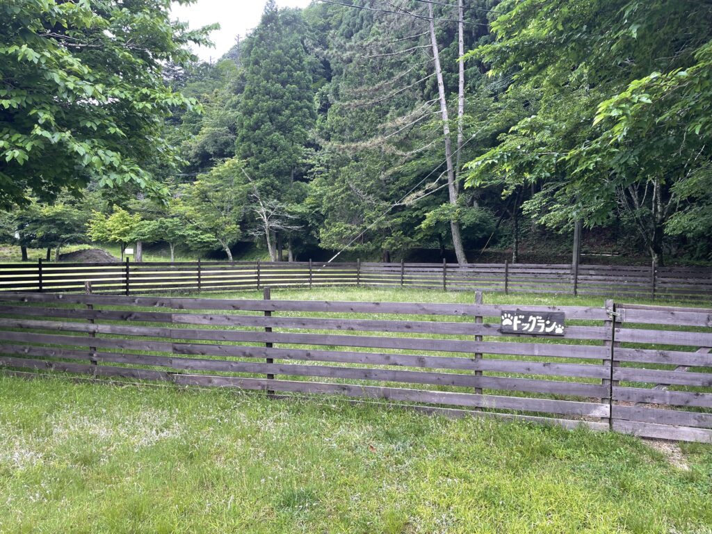 かもしか葛川森のキャンプ場