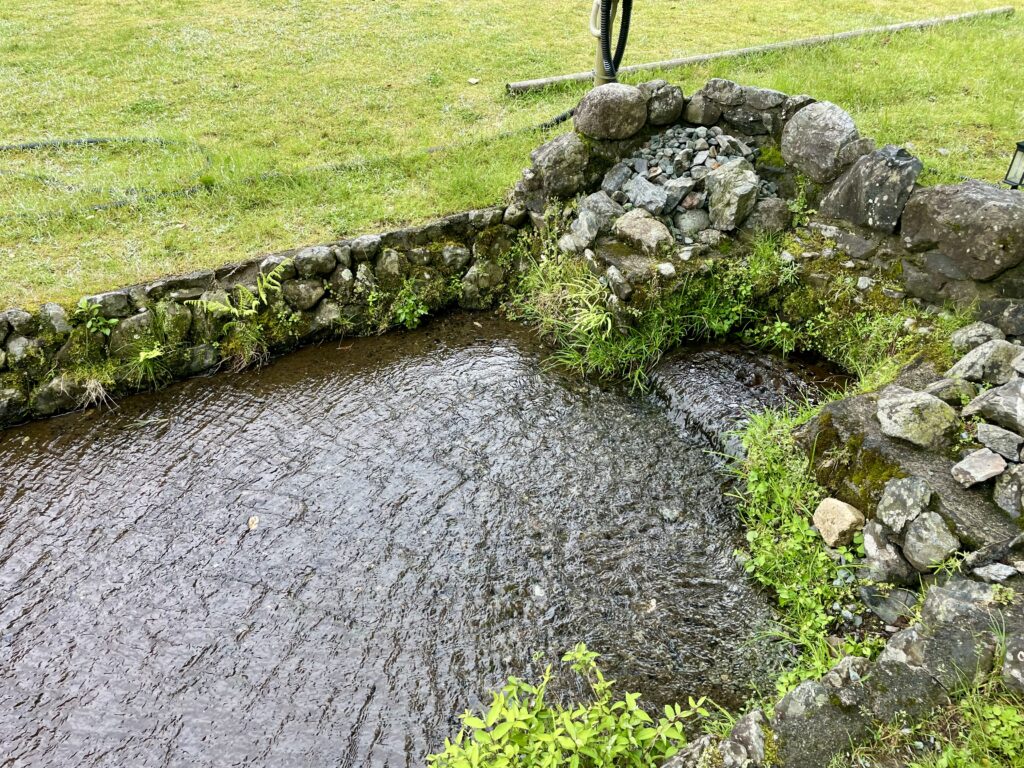 かもしか葛川森のキャンプ場